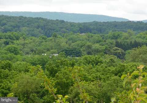 00 GINGER LANE (LOT 10), MIFFLINTOWN, PA 17059