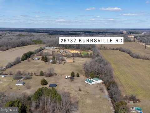 25782 BURRSVILLE ROAD, DENTON, MD 21629