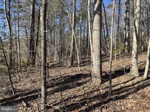 TBD DUET ROAD, MADISON, VA 22727