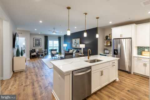 13210 PETREL STREET, CLARKSBURG, MD 20871