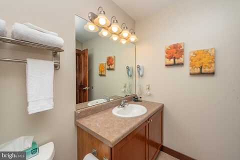 565 GLENDALE ROAD, OAKLAND, MD 21550