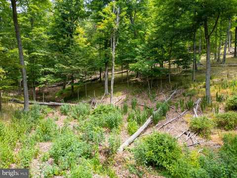 Lot 55 & 56 SARAH LINCOLN DR., NEW CREEK, WV 26743