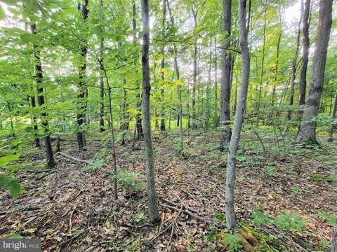 PARCEL 64 NEW GERMANY ROAD, GRANTSVILLE, MD 21536