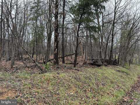 Lot 13 SAWMILL DRIVE, GORE, VA 22637