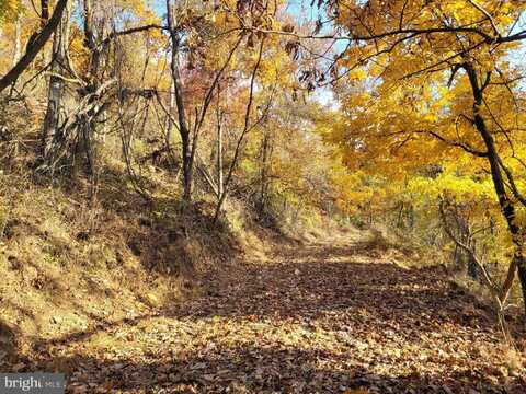 Lot 19 SOUTH WEST SLOPE, STAR TANNERY, VA 22654