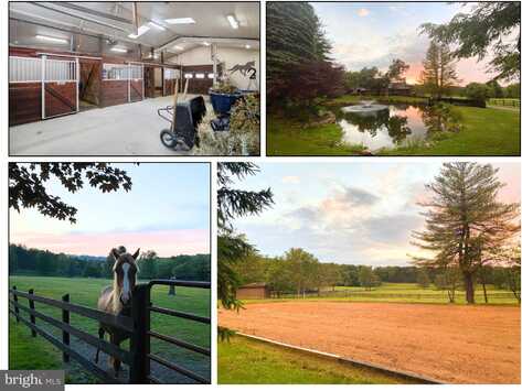 1240 BOY SCOUT ROAD, OAKLAND, MD 21550