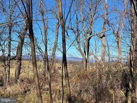 00 CHESTNUT RIDGE RD, STAUNTON, VA 24401