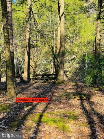 Lot: 46 PARADISE POINT, JAMES CREEK, PA 16657