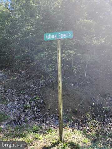 GRACE MOUNTAIN LANE, MILAM, WV 26838