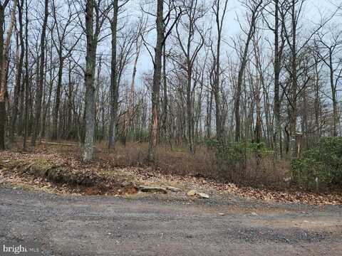 0 CHAMONIX, ZION GROVE, PA 17985