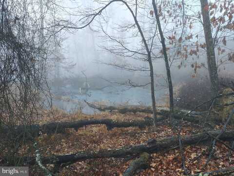 S TIMBER RIDGE ROAD, CROSS JUNCTION, VA 22625