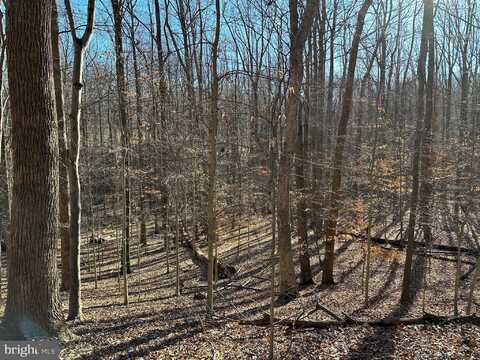 9106 POTOMAC RIDGE ROAD, GREAT FALLS, VA 22066