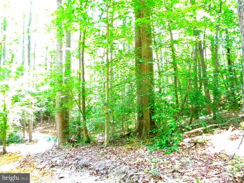 Lot 10B THUNDER RD, KING GEORGE, VA 22485