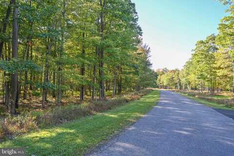 47 FERN LOOP DRIVE, MC HENRY, MD 21541