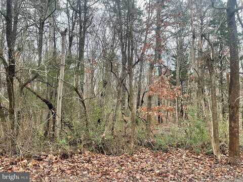 1359 MEMPHIS AVENUE, MAYS LANDING, NJ 08330