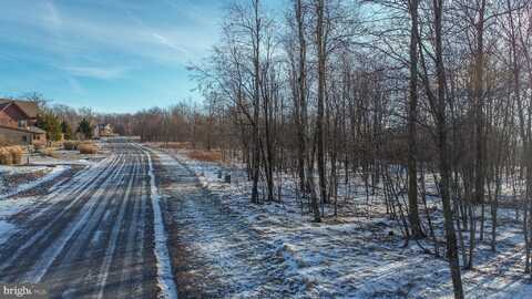 Lot 31 NORTH CAMP ROAD, MC HENRY, MD 21541
