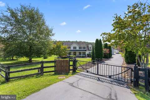 15092 RIXEYVILLE LAKES COURT, RIXEYVILLE, VA 22737
