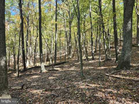 MILL MOUNTAIN ROAD, ROMNEY, WV 26757