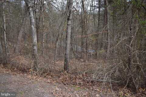 TBD COTTONWOOD RD, MOUNT JACKSON, VA 22842