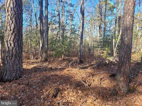 Lot 21 ORANGE DRIVE, HAGUE, VA 22469