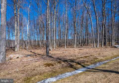MASTERS VIEW, MC HENRY, MD 21541