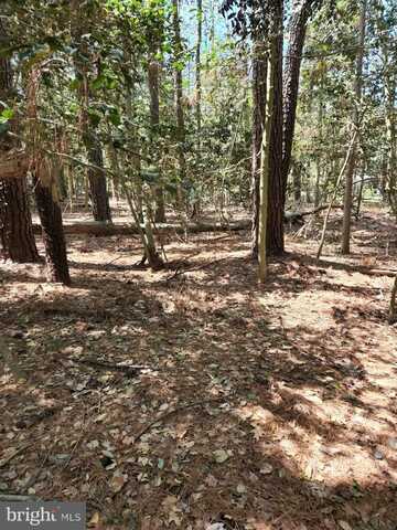 00 NEW ROAD, MCDANIEL, MD 21647