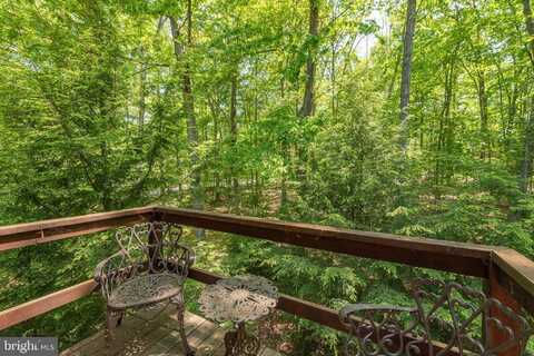 1118 LAKE SHORE DRIVE, OAKLAND, MD 21550