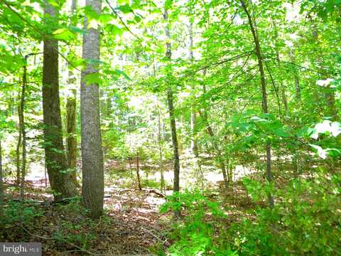 Lot 10A THUNDER RD, KING GEORGE, VA 22485
