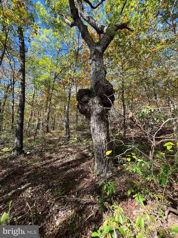 Lot 10,11,12-13 A FOX TRAIL, WINCHESTER, VA 22602