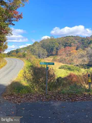0 CASTLETON VIEW ROAD, CASTLETON, VA 22716