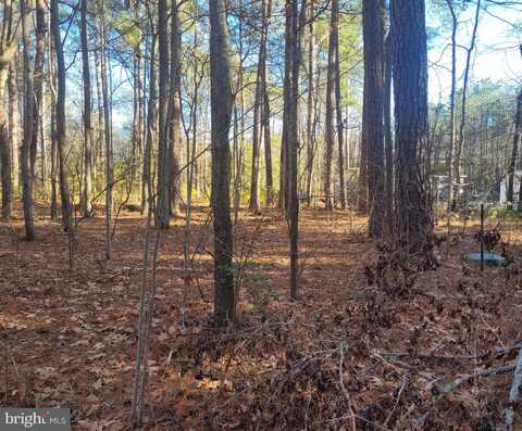 Lot 8 DIAMOND DRIVE, HAGUE, VA 22469