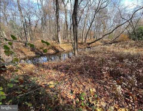 13 WHITE BIRCH TRAIL, MEDFORD, NJ 08055