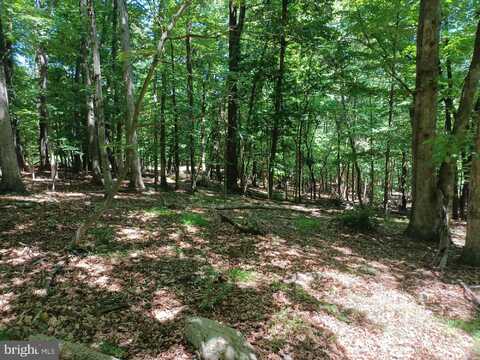 Lot 40 WILD APPLE LANE, PAW PAW, WV 25434