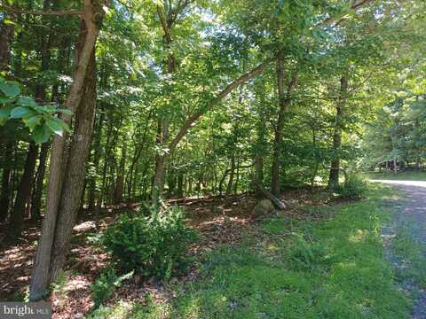 Lot 40 WILD APPLE LANE, PAW PAW, WV 25434