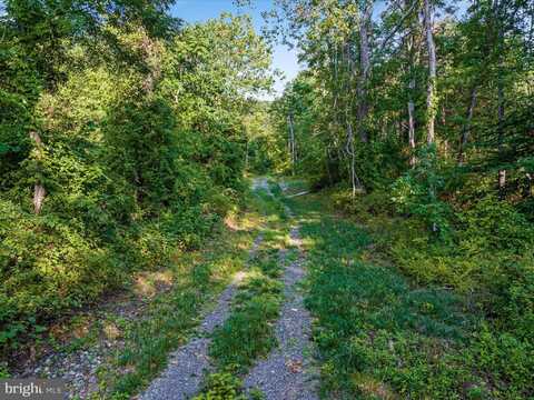 51A GOONEY MANOR LOOP, BENTONVILLE, VA 22610