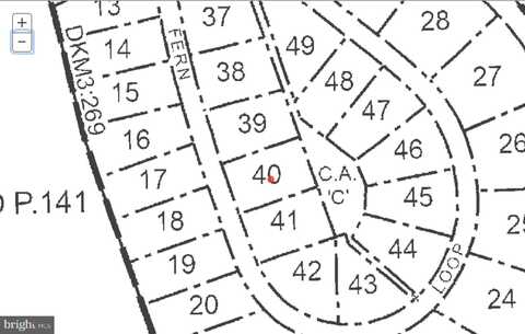 40 FERN LOOP, MC HENRY, MD 21541