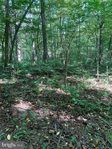 Lot 17 CACAPON RETREAT LANE, GREAT CACAPON, WV 25422