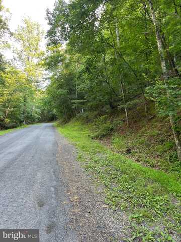 Lot 161 LEE RD, BASYE, VA 22810