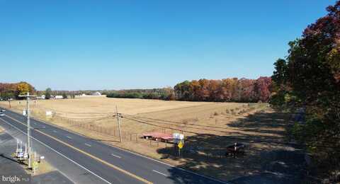 1240 ROUTE 206, SHAMONG, NJ 08088