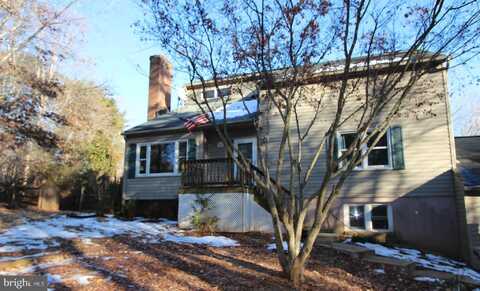 17432 SADDLE RUN, RIXEYVILLE, VA 22737