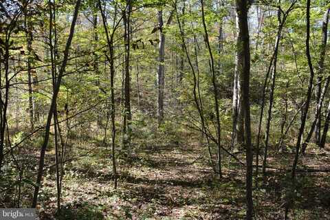 33+ ACRES QUAIL RUN LANE, WINCHESTER, VA 22602