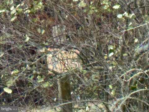 LOT 15 MARKWOOD DRIVE, KEYSER, WV 26726