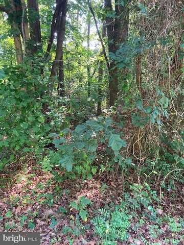 BAY POINTE DRIVE, MONTROSS, VA 22520