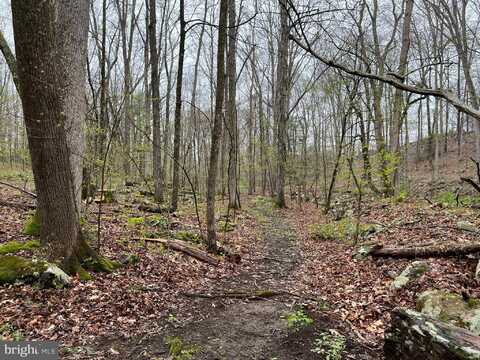 SERFAS DRIVE, STROUDSBURG, PA 18360
