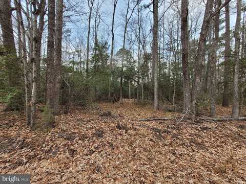 Lot 33 WILDWOOD RD, COLONIAL BEACH, VA 22443