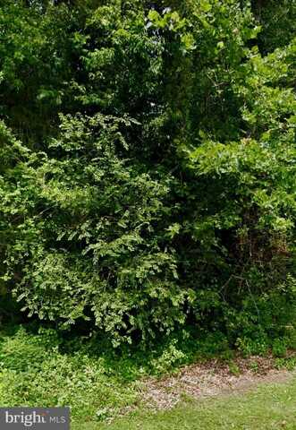 LOT 15 OXFORD LANE, KING WILLIAM, VA 23086
