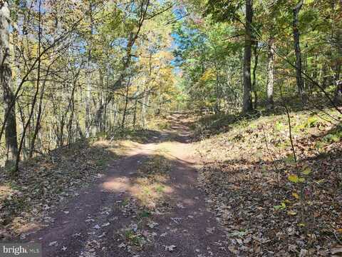 MILL MOUNTAIN ROAD, ROMNEY, WV 26757
