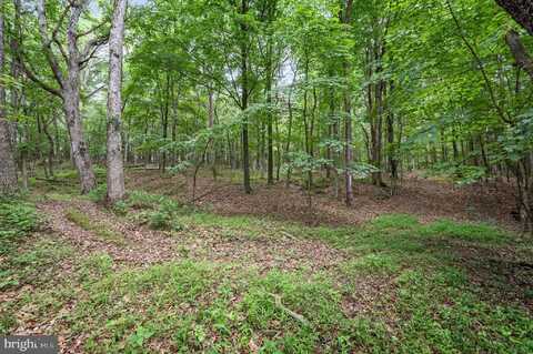 1202 PACK HORSE ROAD, CROSS JUNCTION, VA 22625