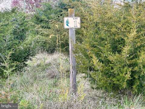 LOT 1 MARKWOOD DRIVE, KEYSER, WV 26726