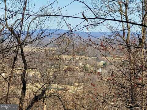 WOODLANDS DRIVE, FLINT HILL, VA 22627